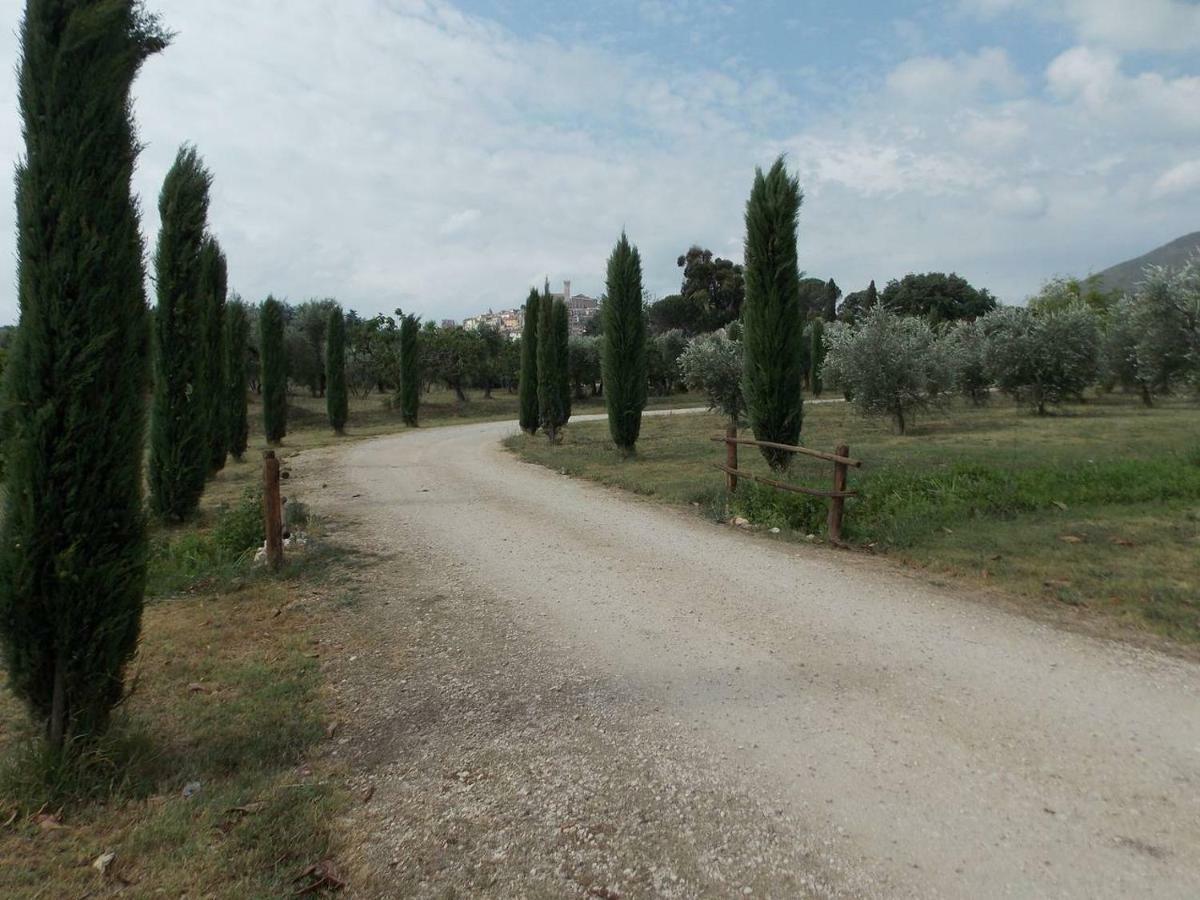 Agriturismo Cento Ducati Palombara Sabina Exteriér fotografie
