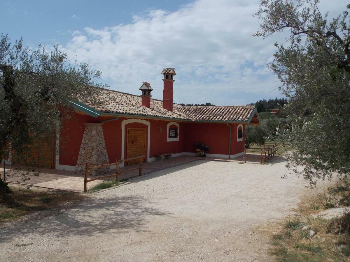 Agriturismo Cento Ducati Palombara Sabina Exteriér fotografie
